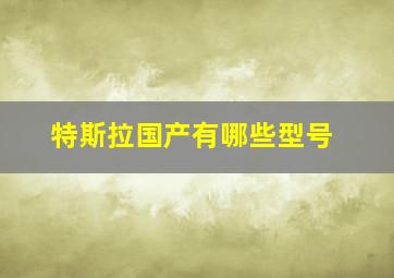 特斯拉国产有哪些型号