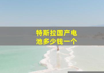 特斯拉国产电池多少钱一个