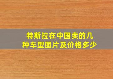 特斯拉在中国卖的几种车型图片及价格多少