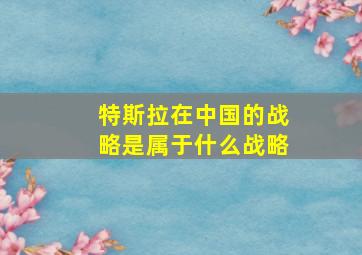 特斯拉在中国的战略是属于什么战略