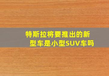 特斯拉将要推出的新型车是小型SUV车吗