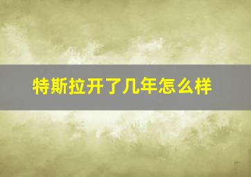 特斯拉开了几年怎么样