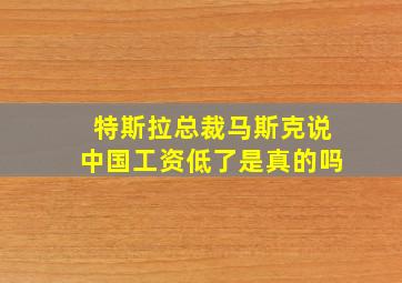 特斯拉总裁马斯克说中国工资低了是真的吗