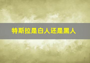 特斯拉是白人还是黑人