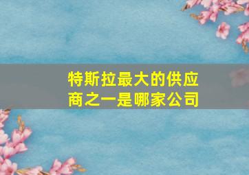 特斯拉最大的供应商之一是哪家公司