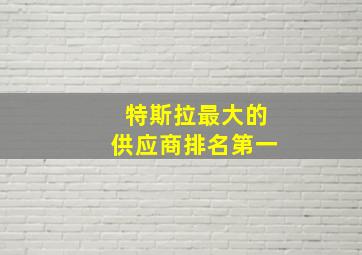 特斯拉最大的供应商排名第一