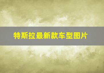 特斯拉最新款车型图片