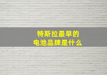 特斯拉最早的电池品牌是什么