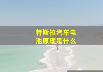 特斯拉汽车电池原理是什么