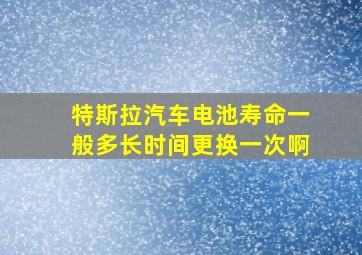 特斯拉汽车电池寿命一般多长时间更换一次啊