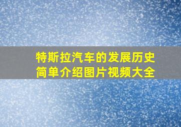 特斯拉汽车的发展历史简单介绍图片视频大全