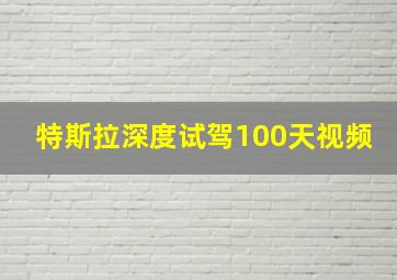 特斯拉深度试驾100天视频