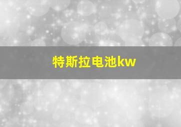 特斯拉电池kw