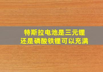 特斯拉电池是三元锂还是磷酸铁锂可以充满