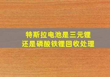 特斯拉电池是三元锂还是磷酸铁锂回收处理