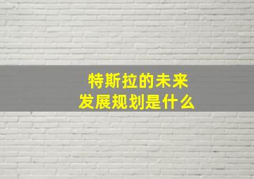 特斯拉的未来发展规划是什么