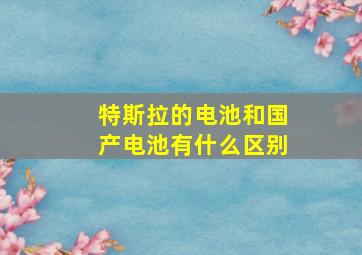 特斯拉的电池和国产电池有什么区别