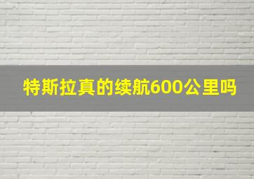 特斯拉真的续航600公里吗