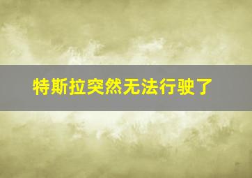 特斯拉突然无法行驶了