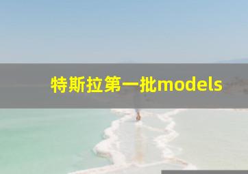 特斯拉第一批models