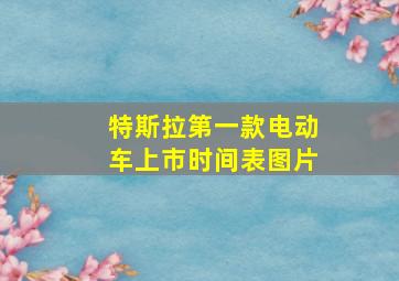 特斯拉第一款电动车上市时间表图片