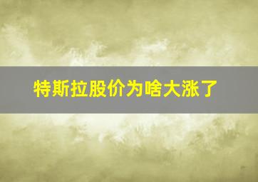 特斯拉股价为啥大涨了