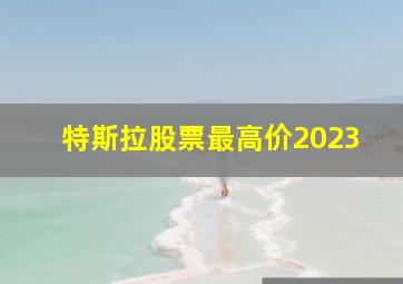 特斯拉股票最高价2023