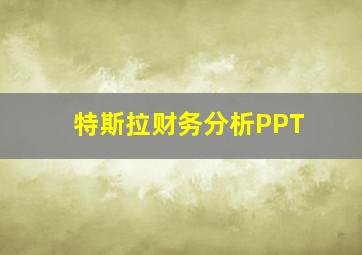 特斯拉财务分析PPT