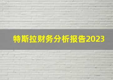 特斯拉财务分析报告2023