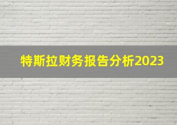 特斯拉财务报告分析2023