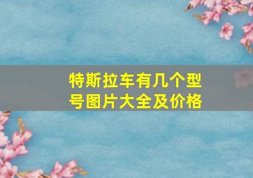 特斯拉车有几个型号图片大全及价格