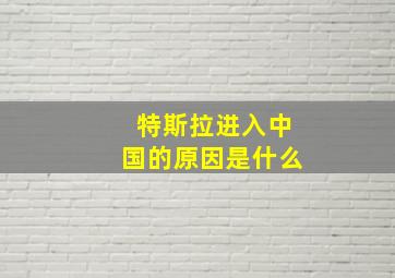 特斯拉进入中国的原因是什么