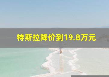 特斯拉降价到19.8万元