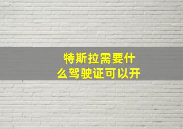 特斯拉需要什么驾驶证可以开