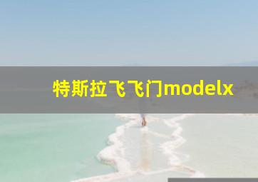 特斯拉飞飞门modelx