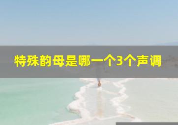 特殊韵母是哪一个3个声调