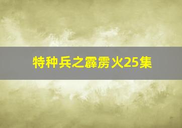 特种兵之霹雳火25集