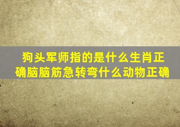 狗头军师指的是什么生肖正确脑脑筋急转弯什么动物正确