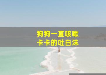 狗狗一直咳嗽卡卡的吐白沫