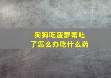 狗狗吃菠萝蜜吐了怎么办吃什么药