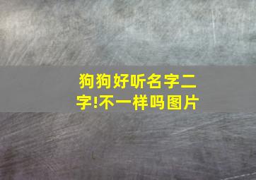 狗狗好听名字二字!不一样吗图片