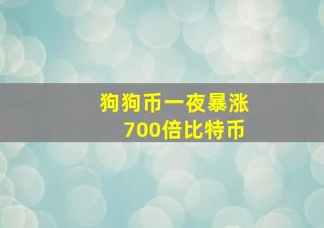 狗狗币一夜暴涨700倍比特币