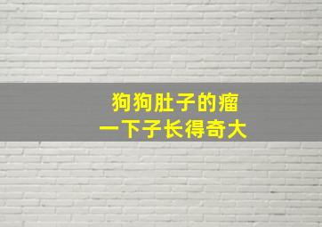 狗狗肚子的瘤一下子长得奇大