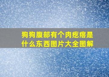 狗狗腹部有个肉疙瘩是什么东西图片大全图解