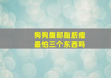 狗狗腹部脂肪瘤最怕三个东西吗