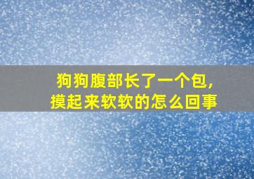 狗狗腹部长了一个包,摸起来软软的怎么回事