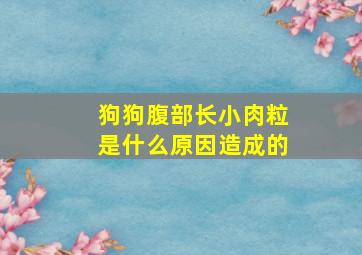 狗狗腹部长小肉粒是什么原因造成的