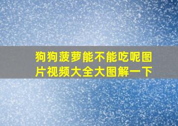 狗狗菠萝能不能吃呢图片视频大全大图解一下