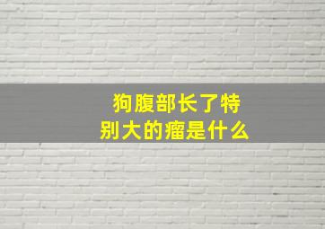 狗腹部长了特别大的瘤是什么