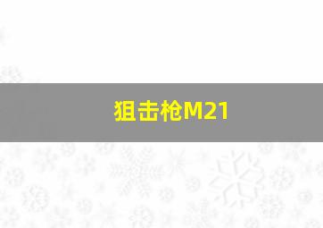 狙击枪M21